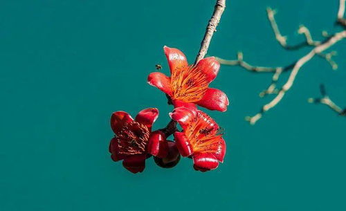 充電再續(xù)航 金舵攀枝花終端賦能培訓會圓滿結(jié)束