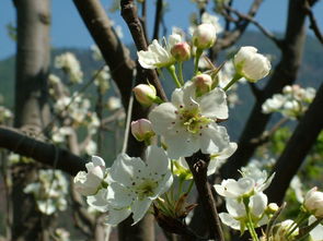 3月的攀枝花,這些地方美得像童話世界 明天就去耍 附攻略