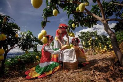 帶著陽光、帶著果香,帶著&ldquo;康養+&rdquo;,北京!東區來了&middot;&middot;&middot;&middot;&middot;&middot;_財經_網