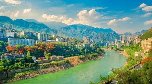 此時(shí)初夏,到攀枝花邂逅漫天藍(lán)紫和火紅的花海,感受城市之美