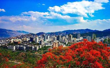 你一定想不到,過去這半年空氣質(zhì)量?jī)?yōu)良率排第一的是一座鋼城